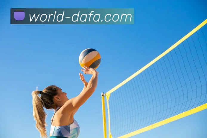 大发彩票服务体系